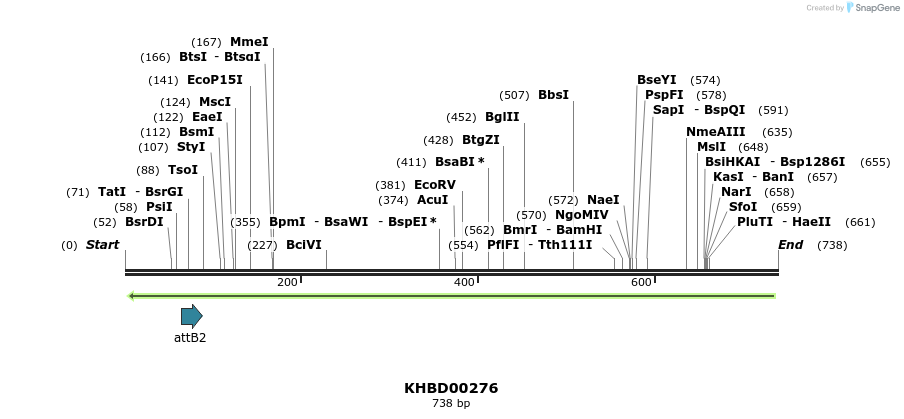 42127_map