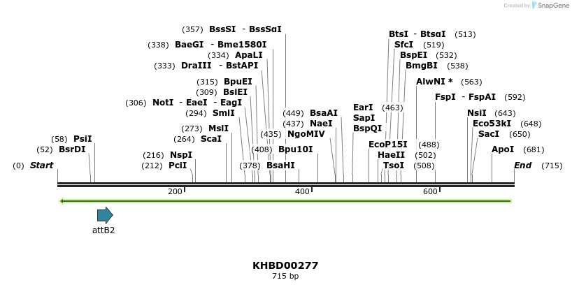 42128_map