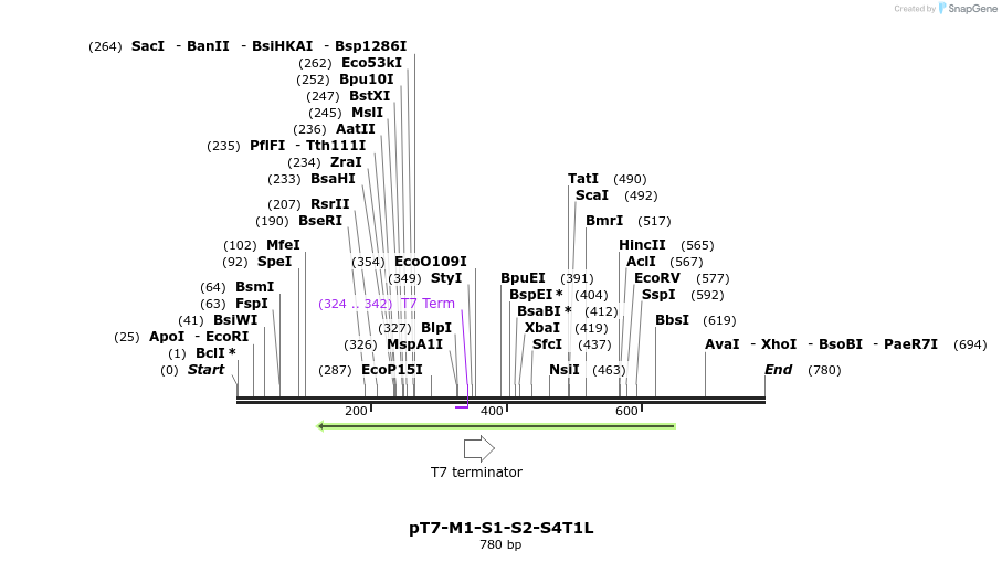 42133_map