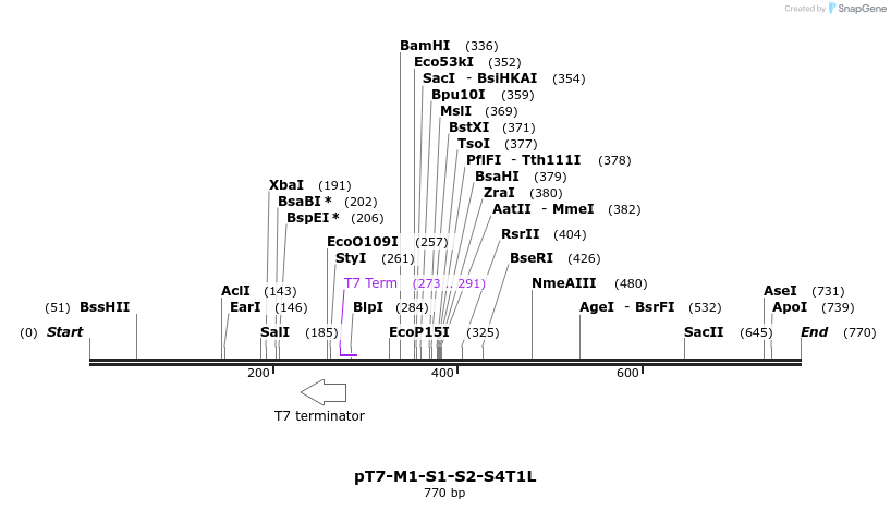 42134_map