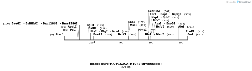 42136_map