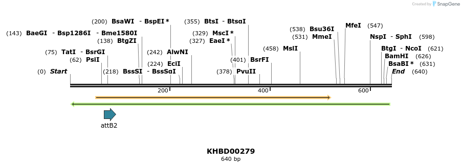 42139_map