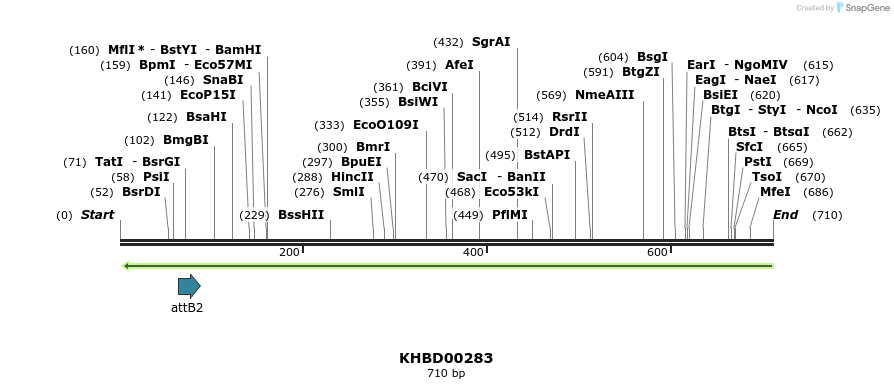 42143_map