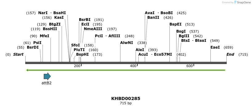 42144_map