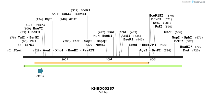 42146_map