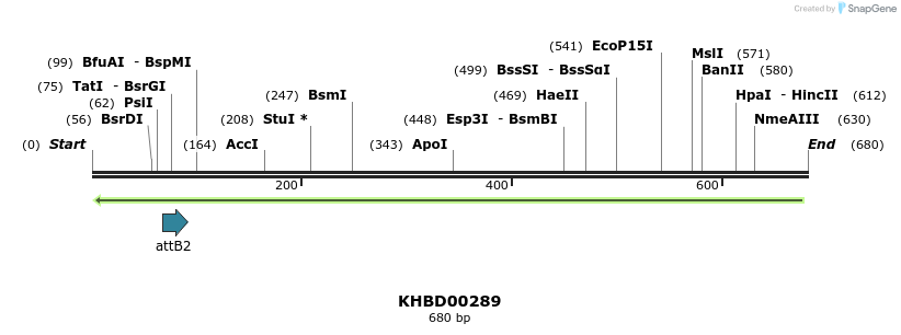 42148_map