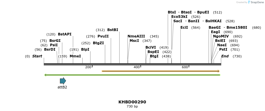 42149_map