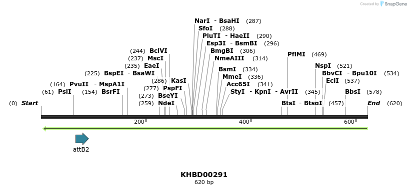 42150_map