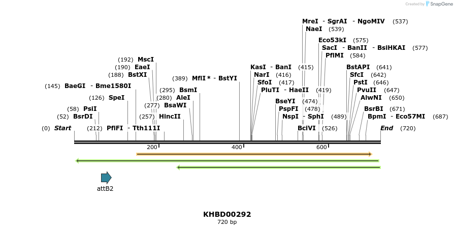 42151_map
