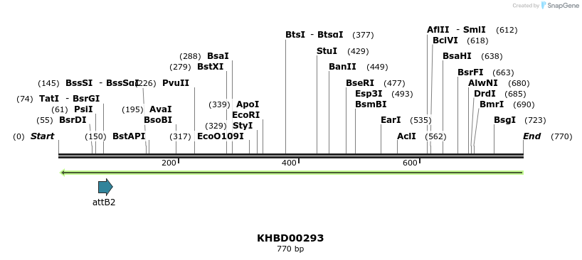 42152_map