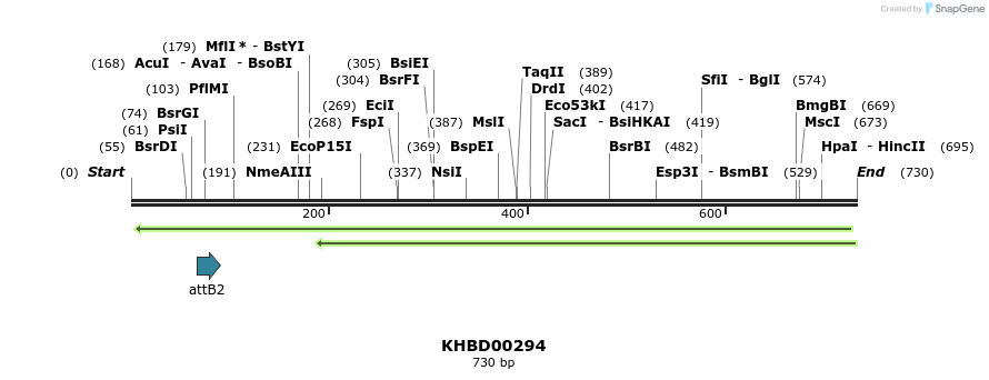 42153_map