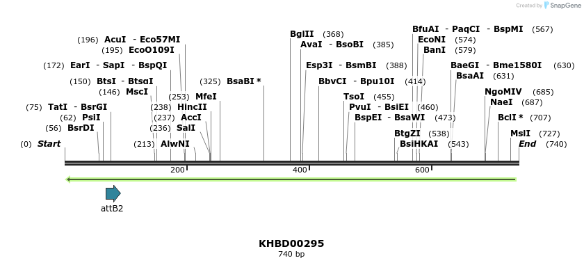 42154_map