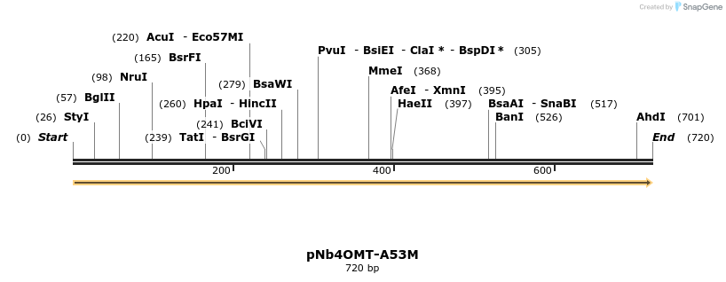 421547_map