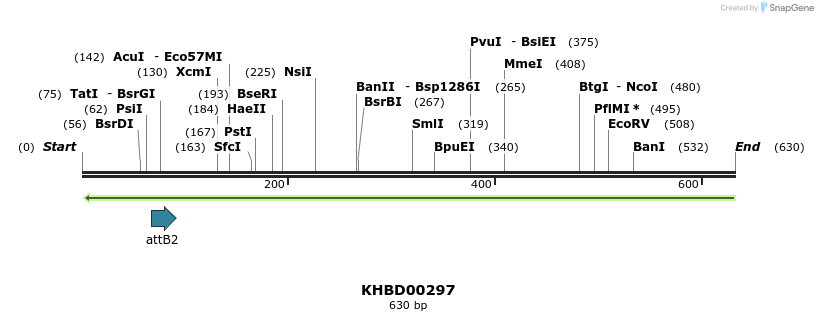 42155_map