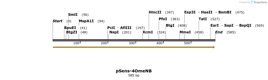 421552_map