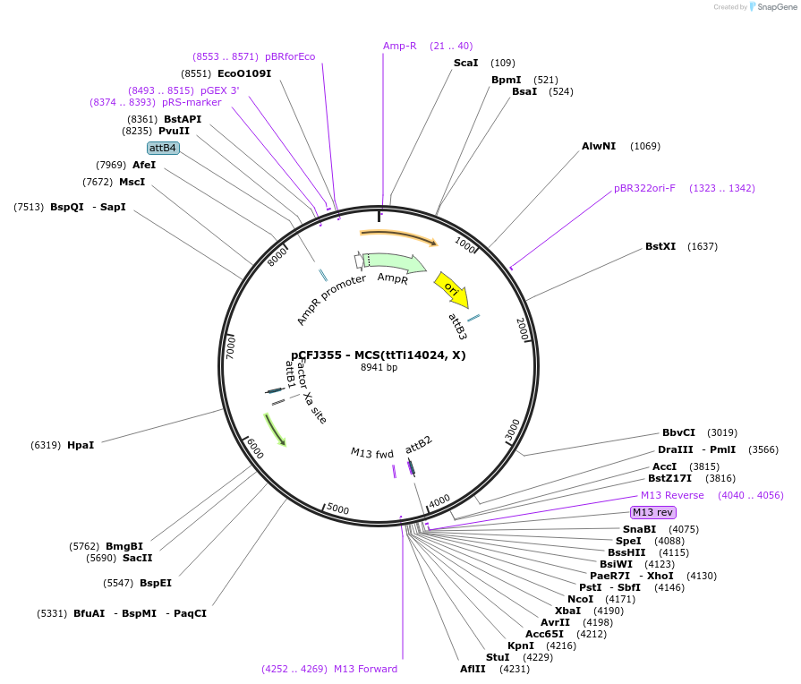 42171_map