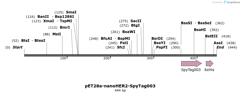 421713_map