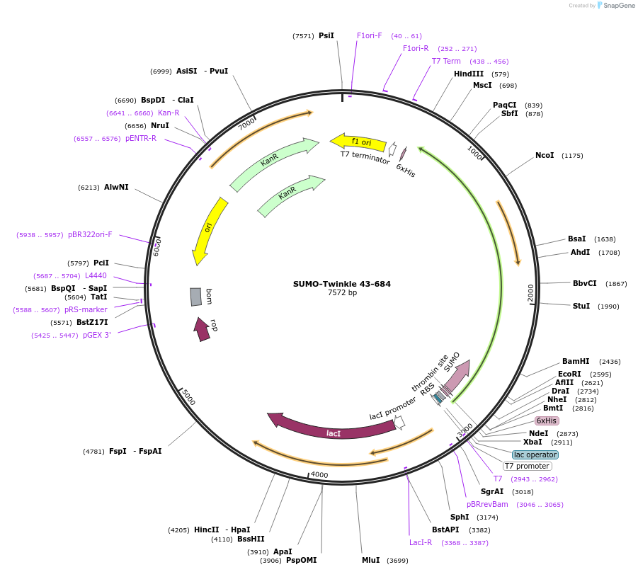 421714_map