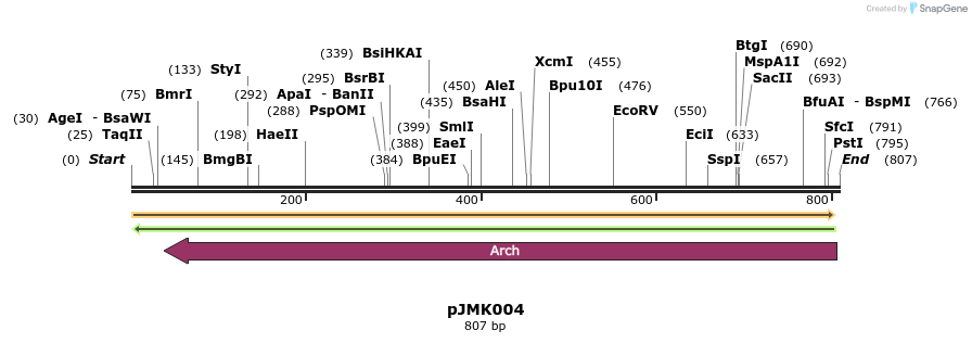 42180_map