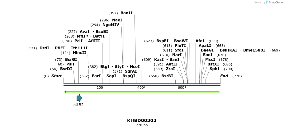 42190_map