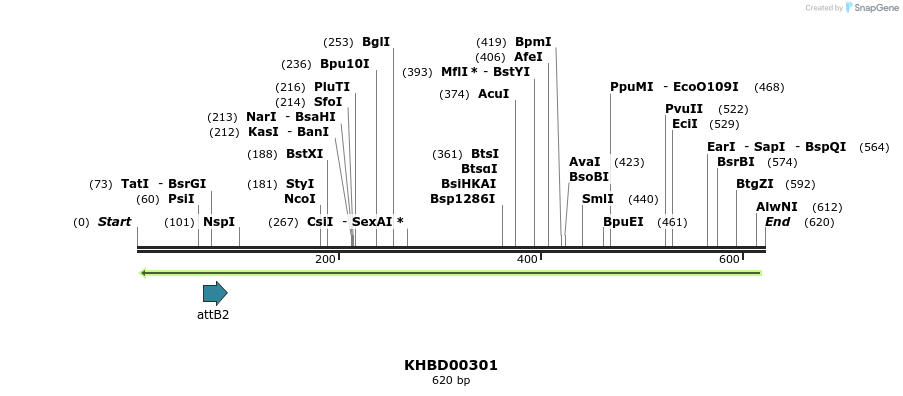 42191_map