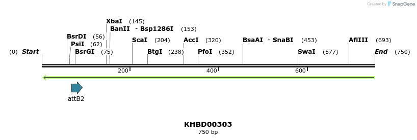 42192_map
