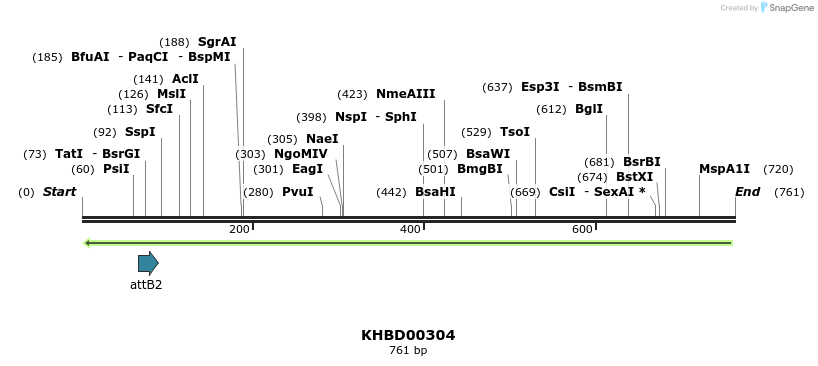 42194_map