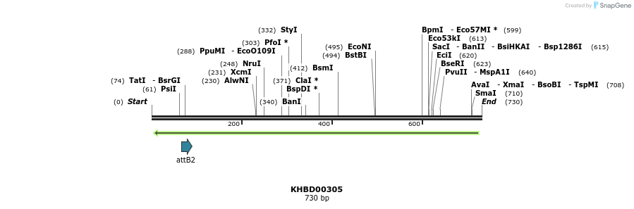 42195_map
