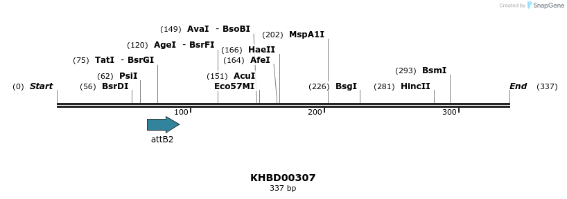 42196_map