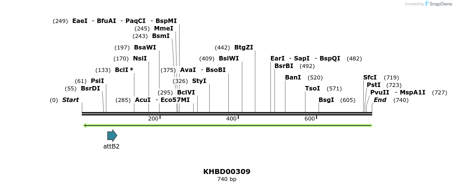 42198_map
