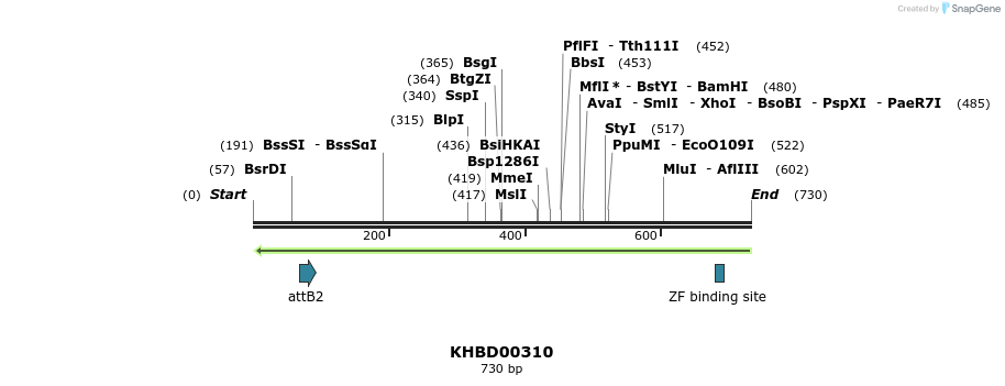 42199_map