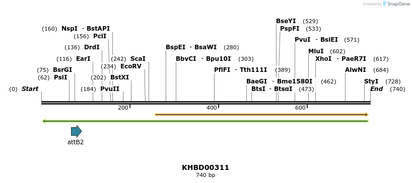 42200_map