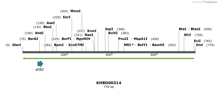 42202_map