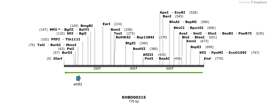 42204_map