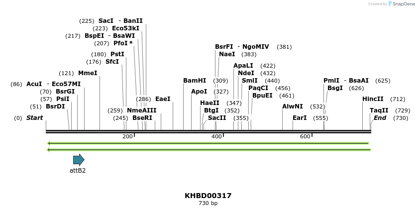 42205_map