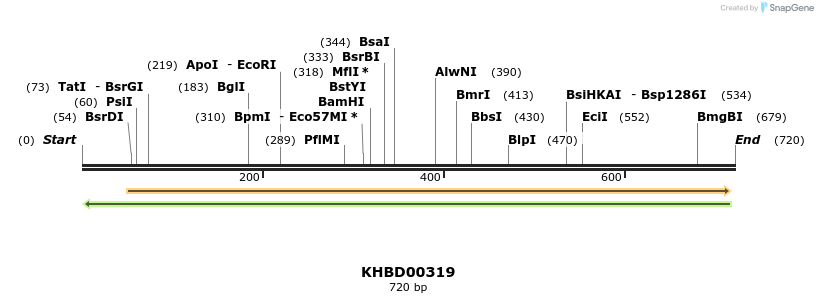 42206_map