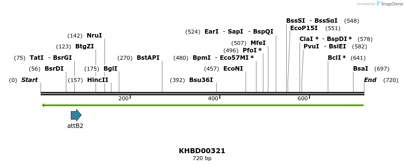 42207_map