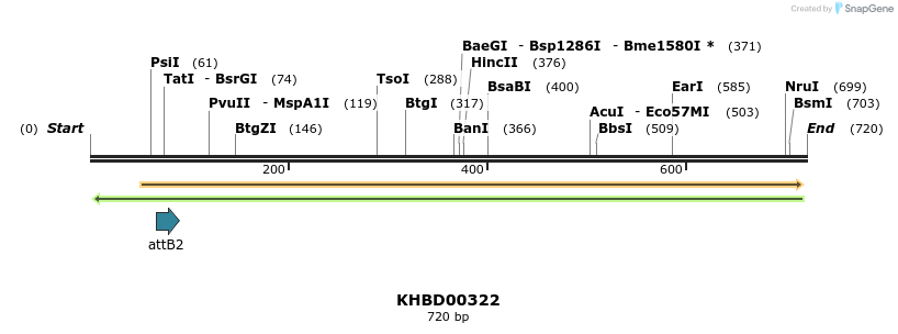 42208_map