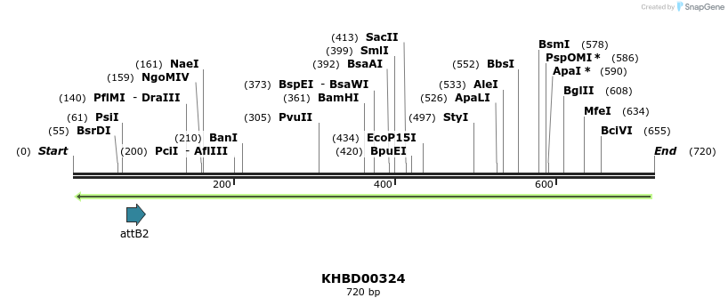 42209_map