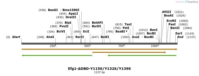 422099_map