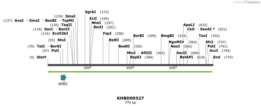 42210_map