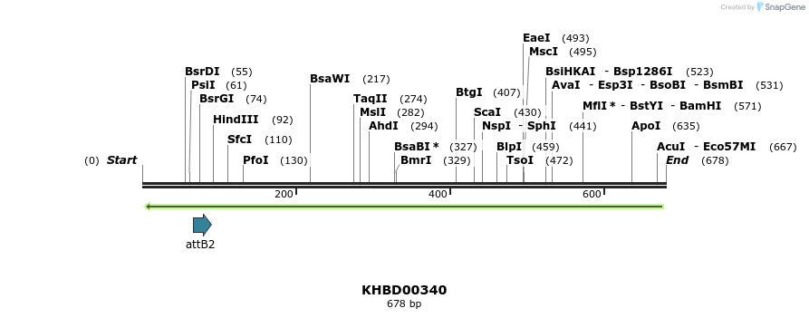 42211_map