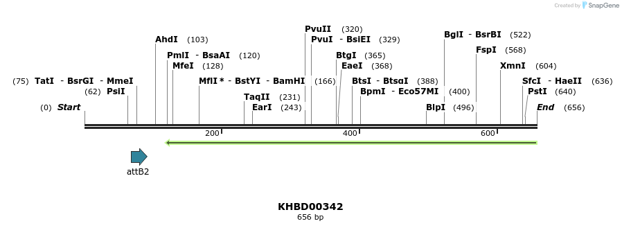 42212_map