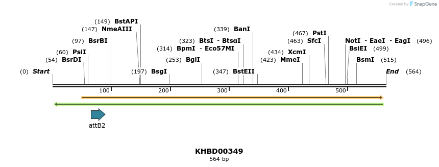 42213_map