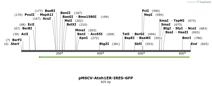 42216_map