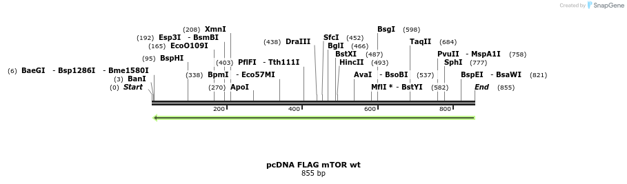 42222_map