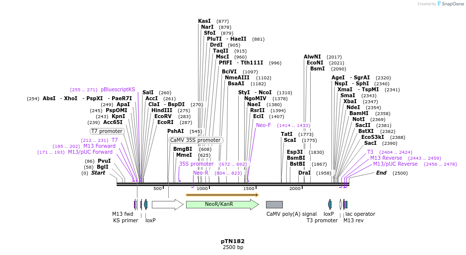 42229_map
