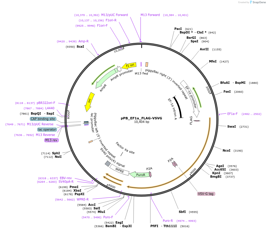 422313_map