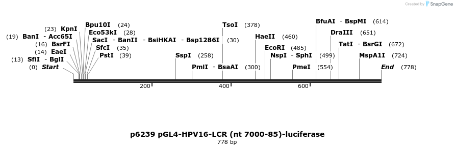 42234_map
