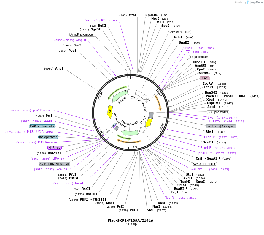 422404_map
